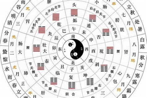 十二天干地支|何为“天干地支”？ 详解“天干地支”的具体含义